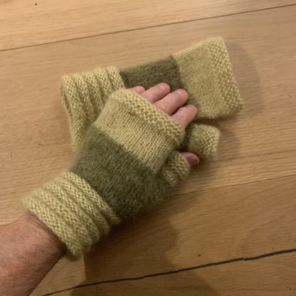 Fin de saison